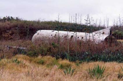 iow07.jpg